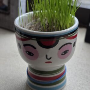 Maceta Tradicional Japonesa